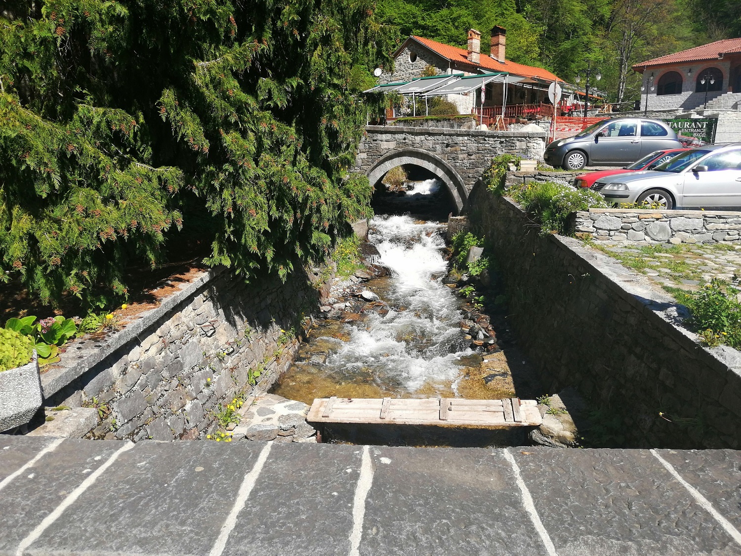 Drushliavitsa river